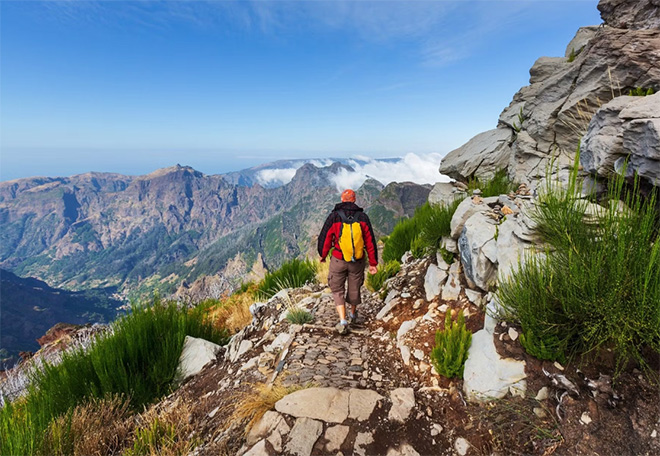 Portugal | Madeira | Glamping Experience (incl. vlucht) | 8 dagen