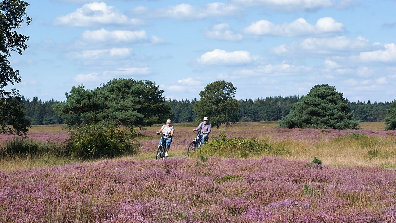 Nederland | Drenthe | Fietsrondreis De grote ronde van Drenthe | 6 dagen