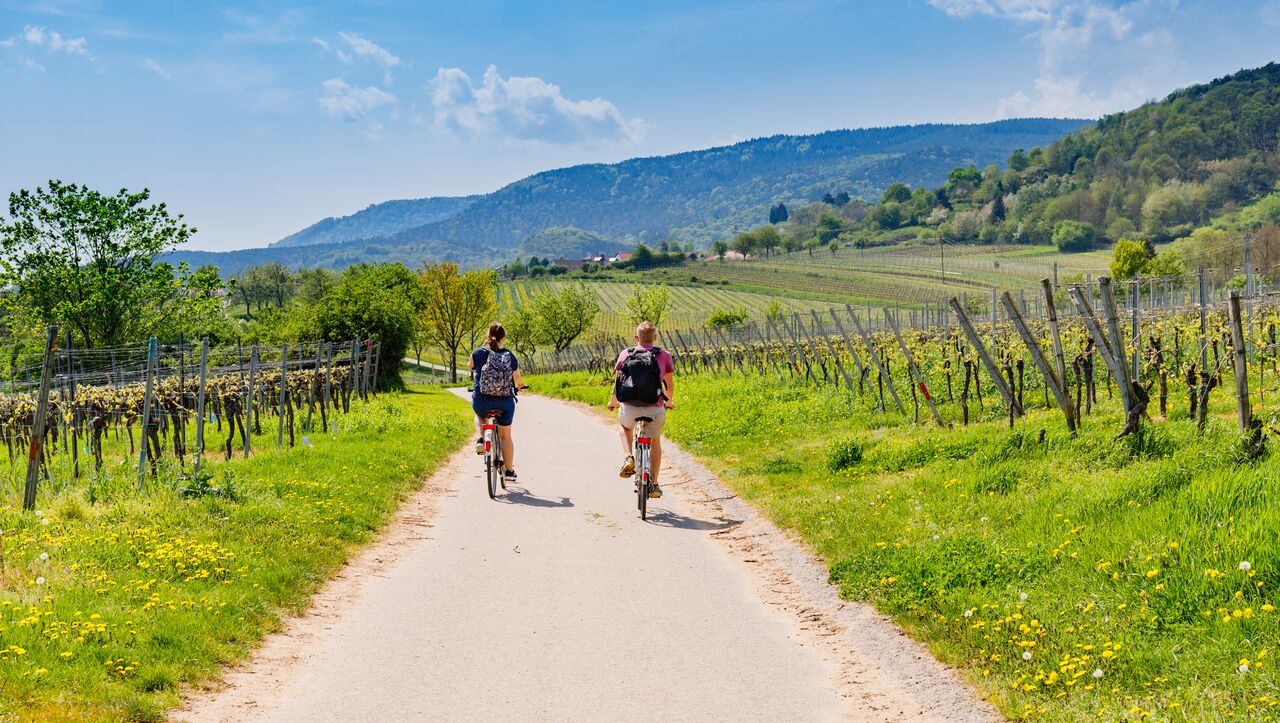 Duitsland | Fietsrondreis langs de Moezel Trier Koblenz | 7 dagen