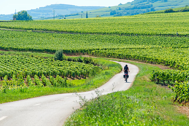 Frankrijk | Fietsrondreis Bourgogne | 6 dagen