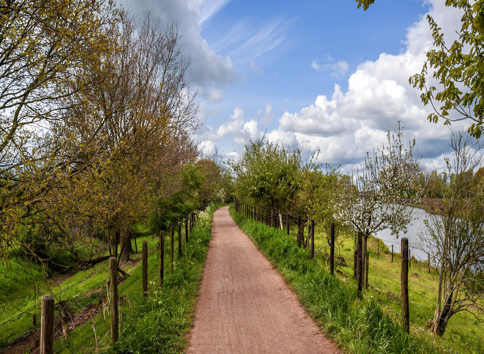 Nederland | Fietsarrangement De Betuwe Hotel De Schildkamp | 3 5 dagen