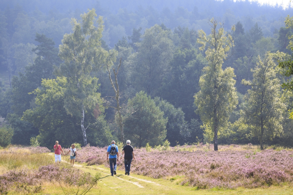 Nederland | Wandelarrangement Veluwe | 3 of 4 dagen