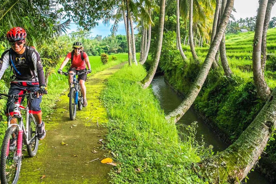 Indonesie | Individuele Fietsreis | Fietstour Bali | 1 dag