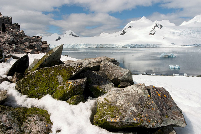 Antarctica | Cruise Expeditiereizens 'Antarctica, de klassieke route' | 10, 11, 12, 13 of 15 dagen