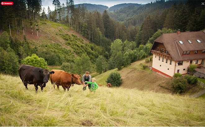 Duitsland | Zwarte Woud | Familieboerderij Hilserhof | 3 dagen