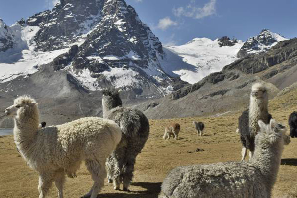 Bolivia | Condori Trek | 03 dagen