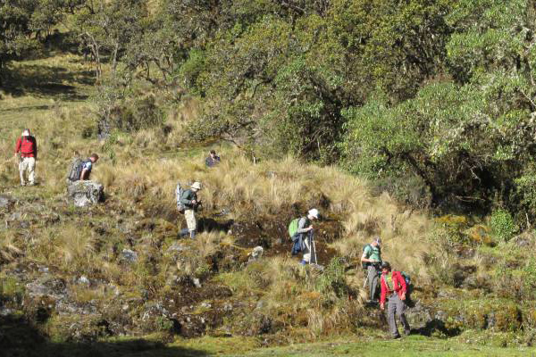 Bolivia | El Choro Trail | 03 dagen