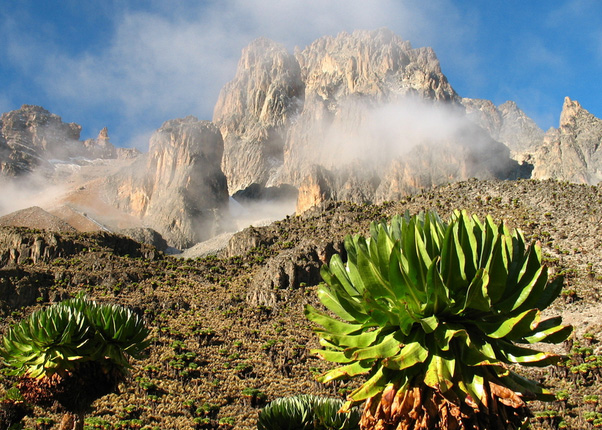 Kenia | Mount Kenia | Burguret Naro Moru Sirimon | 4 dagen