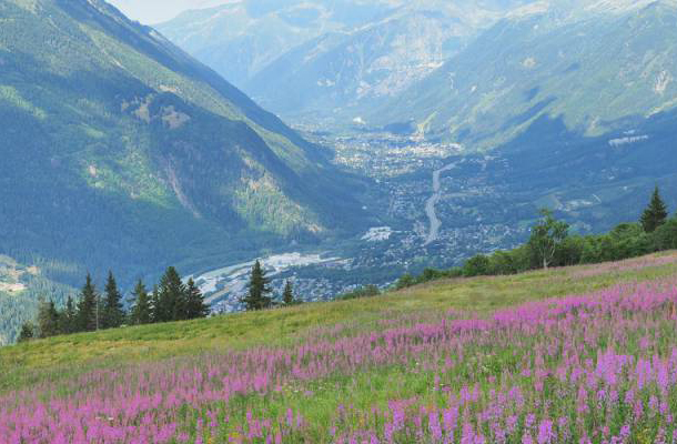 Frankrijk | Italië | Zwitserland | Volledige Tour du Mont Blanc | 10 dagen