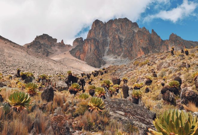 Kenia | Mount Kenia | Burguret Chogoria Traverse | 6 dagen