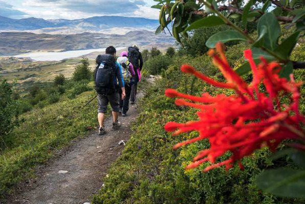 Chili | Patagonië | Zelfbegeleide W Trek | 5 dagen