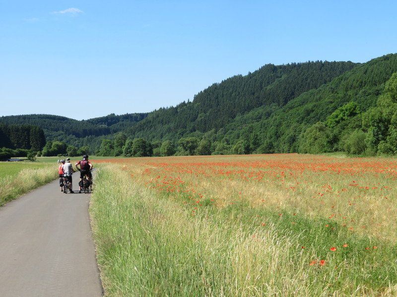 Nederland | Duitsland | Frankrijk | GroepsFietsvakantie van De groene weg naar de Middellandse Zee | 24 dagen