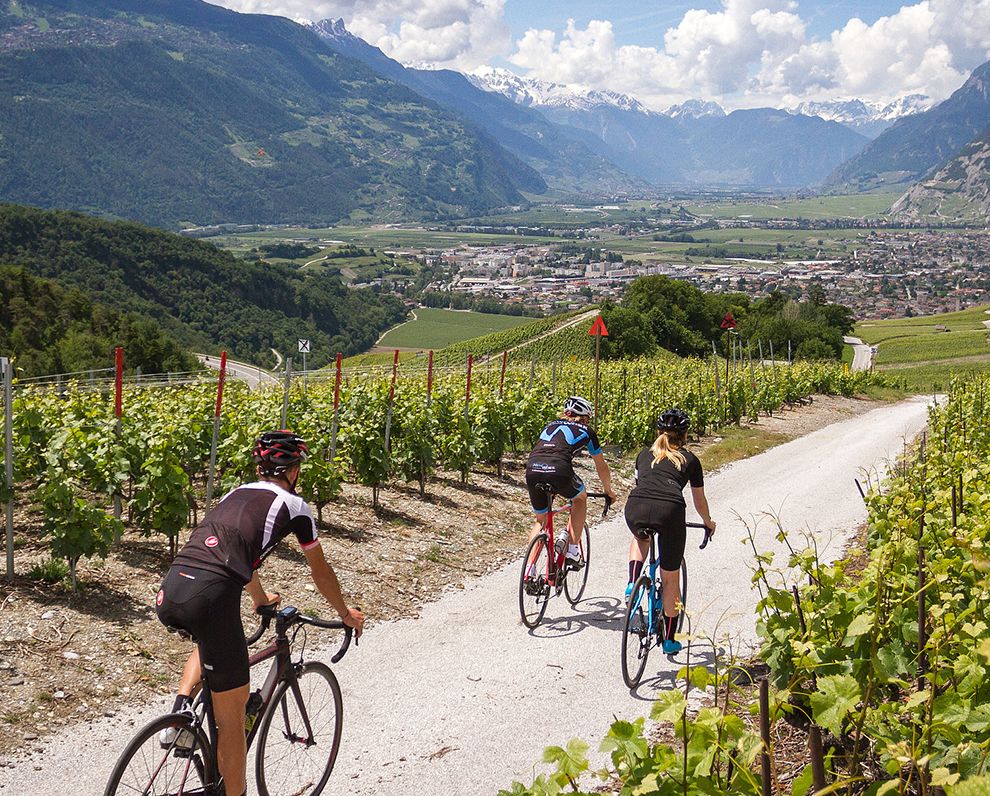 Zwitserland | Individuele Fietsvakantie Wallis | 7 dagen