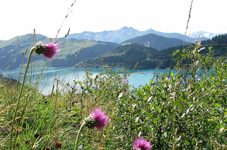 Frankrijk | Racefietsvakantie Rond het meer van Annecy | 8 dagen