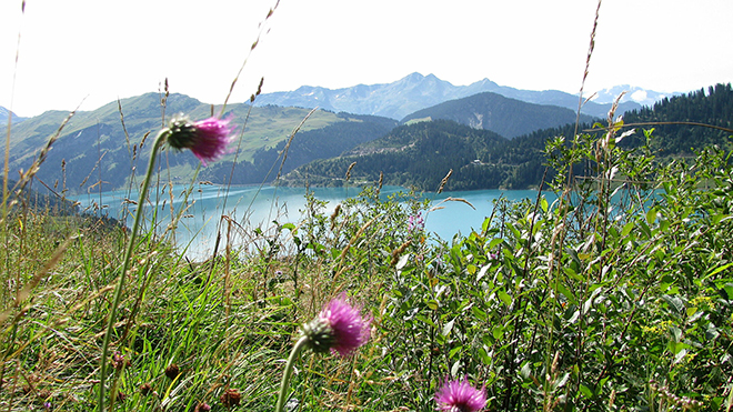 Italië | Frankrijk | Zwitserland | Racefietsvakantie | Ronde om de Mont Blanc | 15 dagen