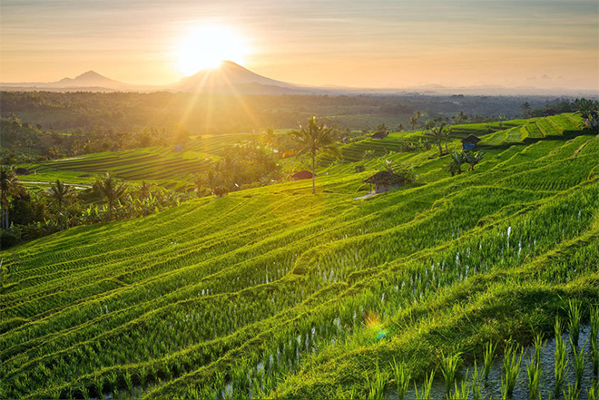 Indonesie | Individuele Rondreis Traditioneel Bali | 11 dagen