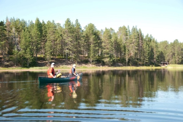 Finland | Natuurreis Bruine Beren spotten | 6 dagen