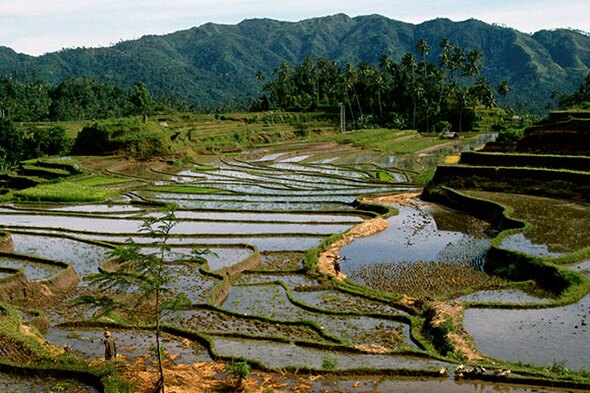 Indonesie | Rondreizen Sumatra, Java en Bali | 21 dagen