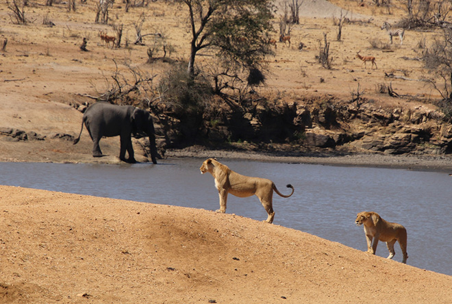 Zuid Afrika | Lesotho | Rondreis | Swaziland kamperen | 21 dagen