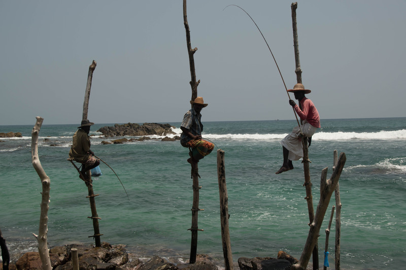 Sri Lanka | Rondreis | 21 dagen