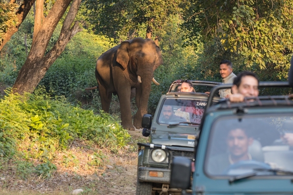 India | Actieve Groepsrondreis | Safarireis India | 18 dagen