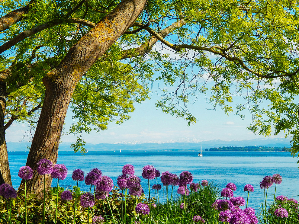 Zwitserland | Rondom de Bodensee | Trektocht | 6 dagen