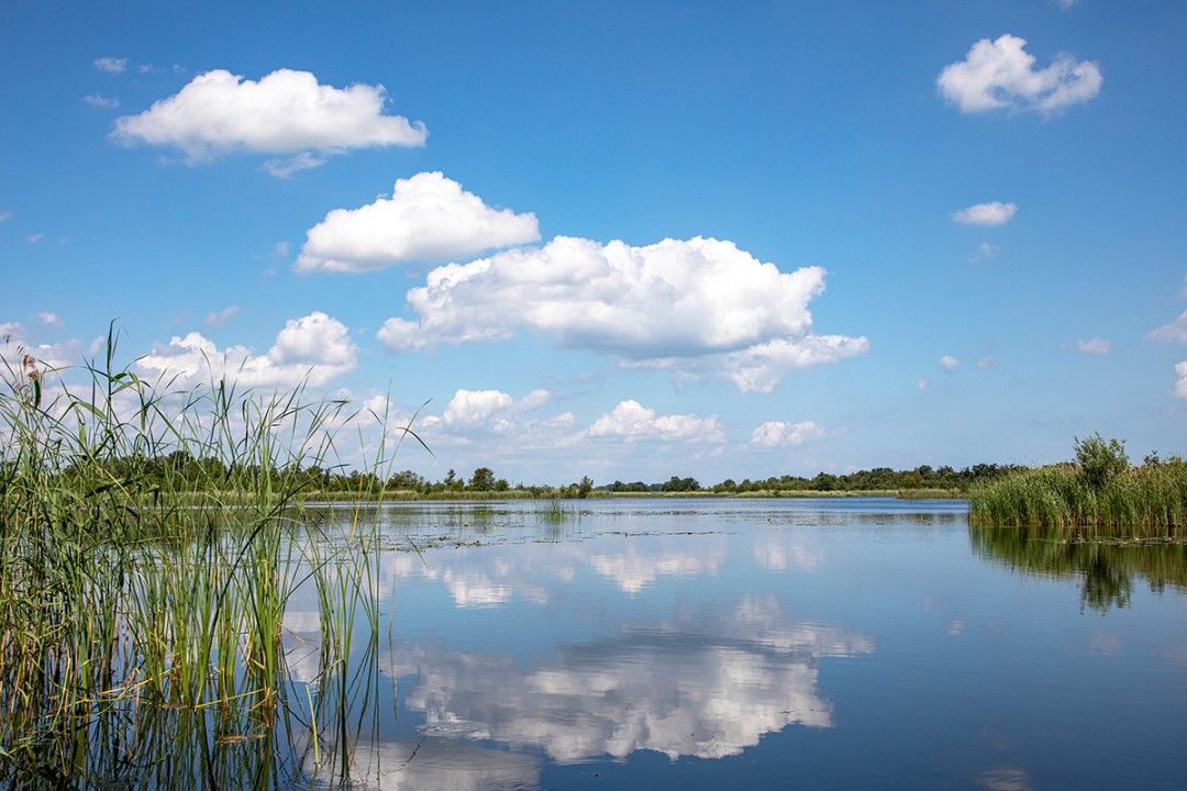 Nederland | Individuele Fietsvakantie Hollandse Waterlinie | 6 dagen