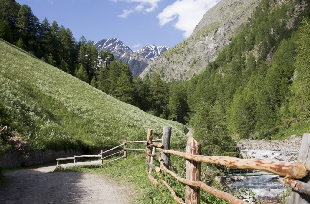 Italie | Fietsvakantie Van de Alpen naar Venetie | Trektocht | 5 dagen