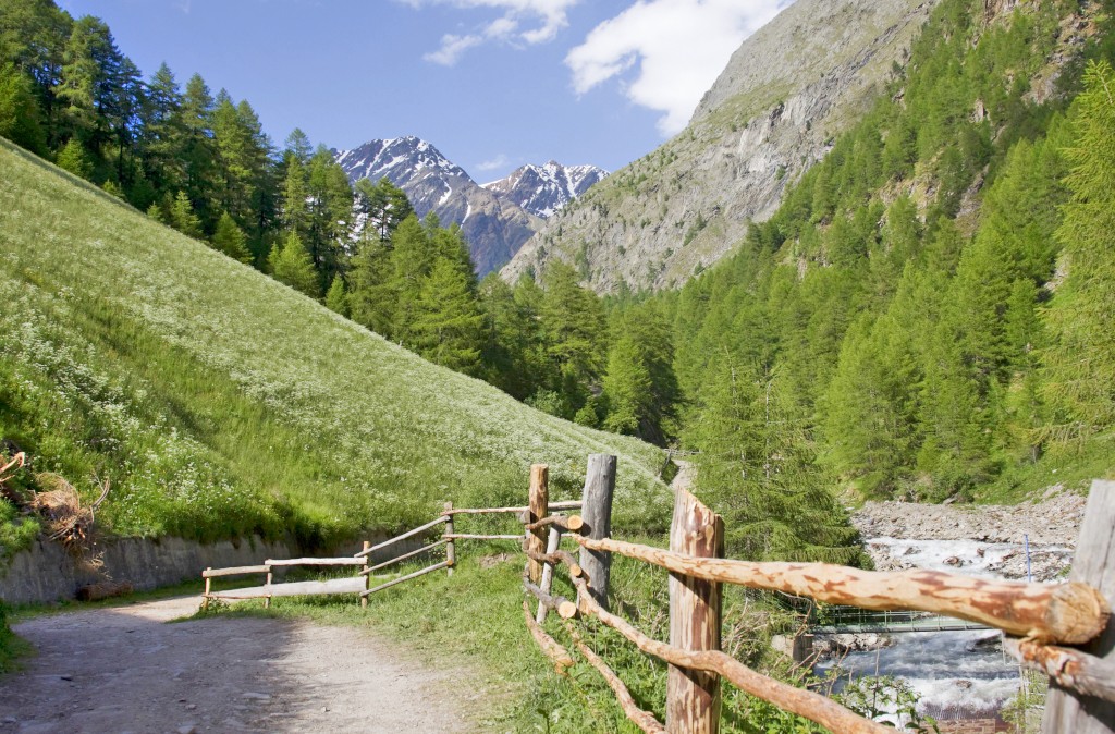 Italië | Bolzano | Fietsvakantie Standplaats | 7 dagen