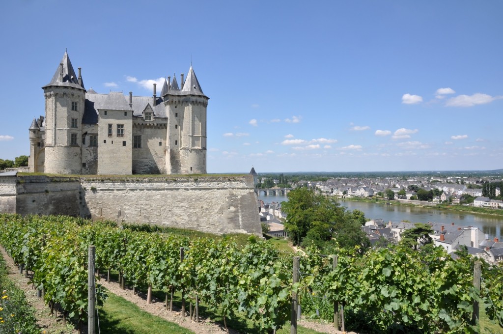 Frankrijk | Langs de Loire | Fietstrektocht | 8 dagen