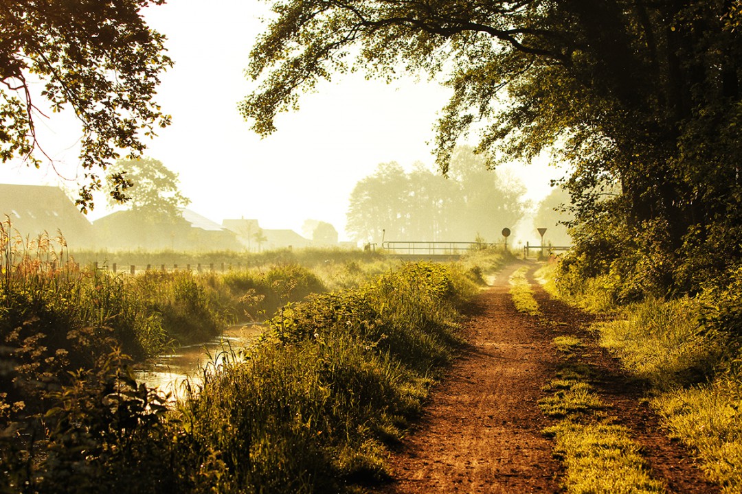 Nederland | Twente | Fietsvakantie Ootmarsum | Standplaats | 5 dagen