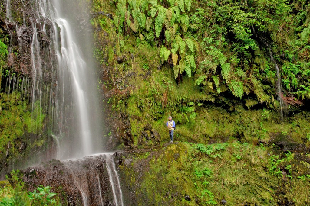 Portugal | Wandelvakatnie Madeira | Trektocht | 8 dagen