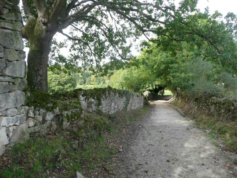 Spanje | Santiago de Compostela | Trektocht | 8 dagen