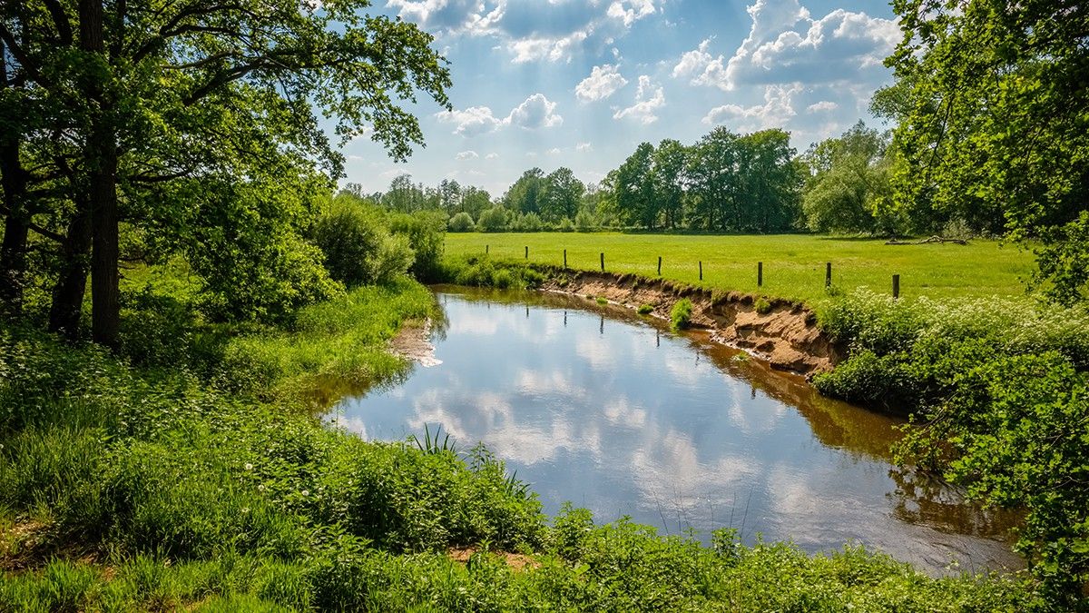 Nederland | Fietsvakantie De Lutte | Standplaats | 5 dagen