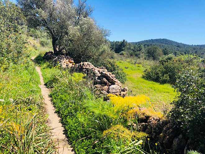 Spanje | Ibiza | MTB fietsvakantie Ibiza | 8 dagen