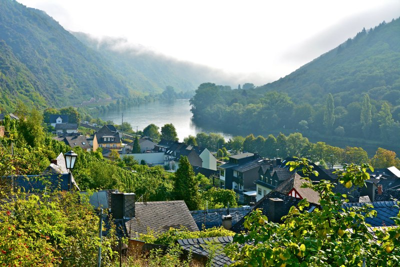 Duitsland | Moezel en Saar | Trektocht | 6 dagen