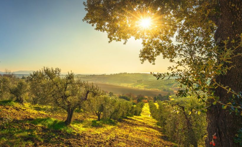 Italië | Fietsvakantie Bella Toscane | 7 dagen