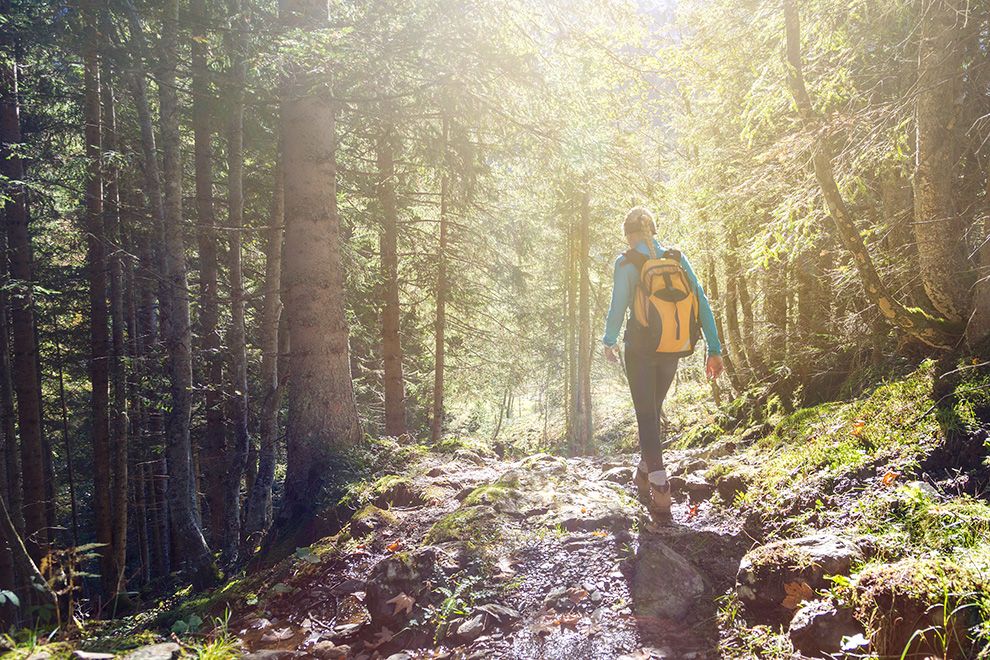 Duitsland | Wandelvakantie Hermannsweg | Het Teutoburgerwald | 9 dagen