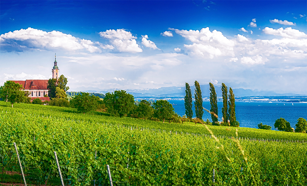 Duitsland | Zwitserland | Oostenrijk | Fietsvakantie Rondom de Bloemrijke Bodensee | 6 of 8 dagen