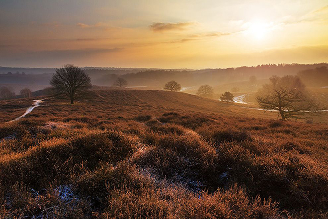 Nederland | Gelderland | Fietsvakantie Grand Tour de Veluwe | 7 dagen