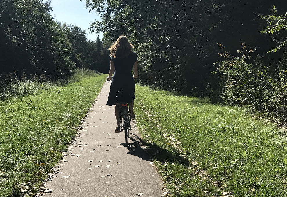 Nederland | Flevoland | Fietstocht door het Horsterwold | 1 dag