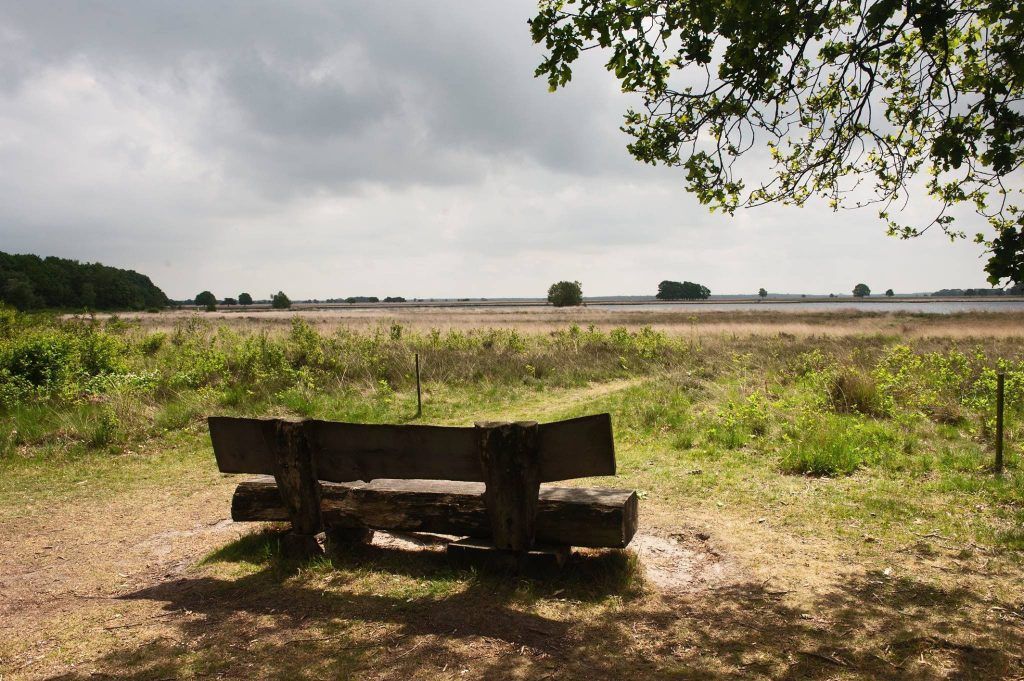 Nederland | Wandelvakantie Drenthe | Het Pieterpad deel 2 – van hotel naar hotel | 7 dagen