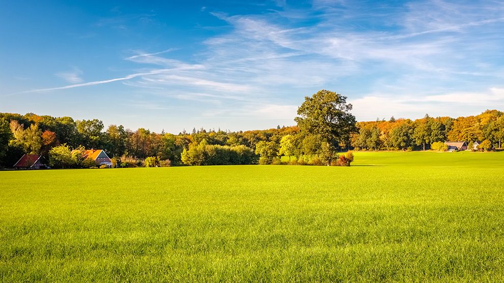 Nederland | Overijssel | Wandelvakantie Twente | Het Twentepad | 6 dagen