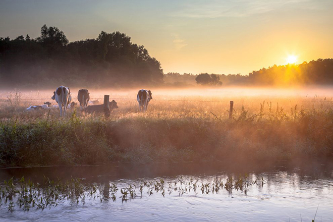 Nederland | Wandelvakantie Het Twentepad | 6 dagen