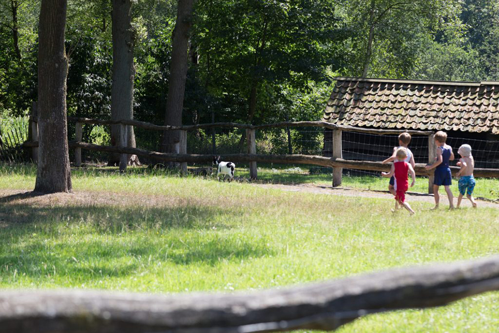 Belgie | Fietskampeervakantie De Belgische Kempen | 7 of 14 dagen