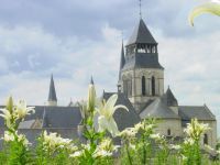 Frankrijk | Individuele Fietsvakantie | Loirevallei Fietsen door het land van Kastelen | 6 dagen