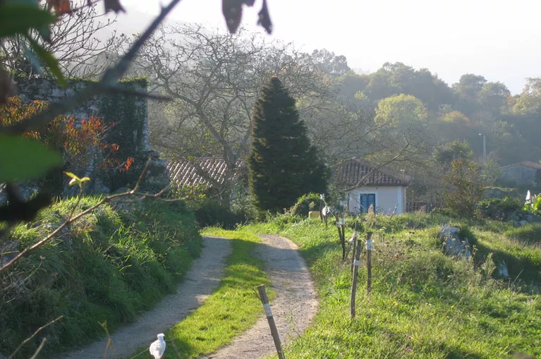 Spanje | Asturië | Individuele Fietsvakantie | De Groene Spaanse Kust | 8 dagen