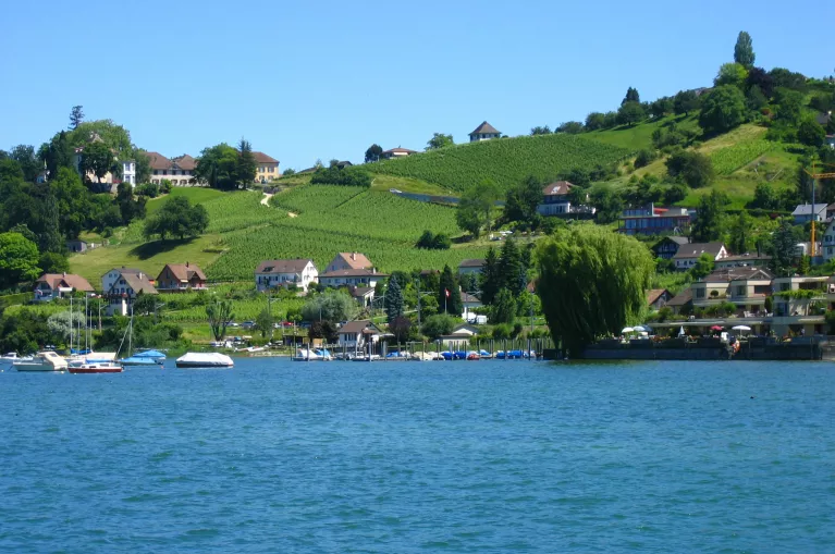 Duitsland | Fietsvakantie Rondom de Bodensee | 7 dagen