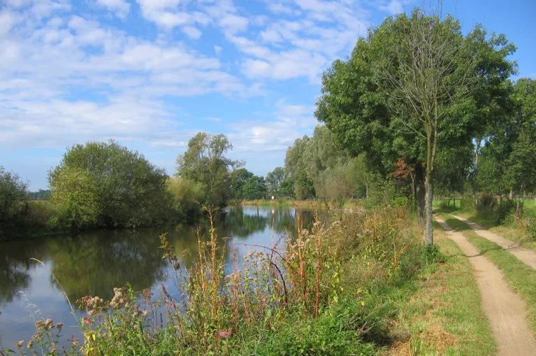 Nederland | Fietsvakanite Drielanden tour tussen Maas en Rijn | 8 dagen