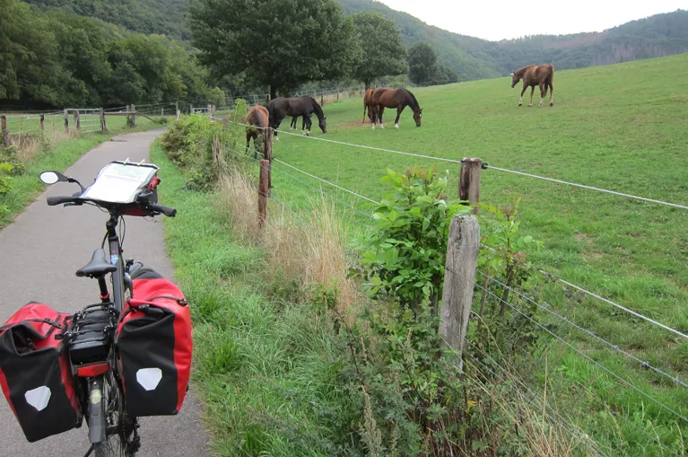 Duitsland | Ruhr Eifel | Fietsvakantie over de RurUfer Radweg | 7 dagen